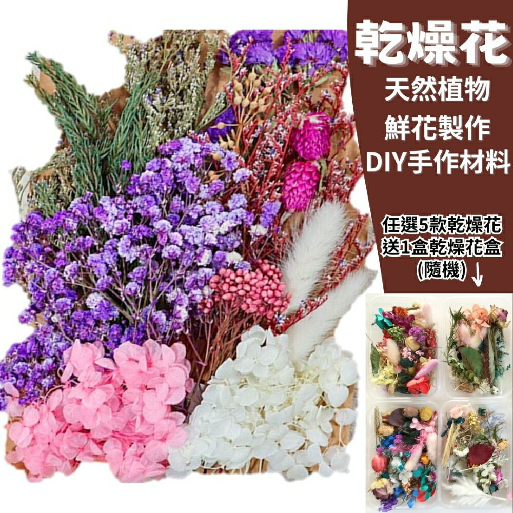幫家裡聖誕佈置裝飾推薦聖誕樹及聖誕花圈到【A-ONE】紫色滿天星 愛情海之戀 薰衣草 花束 天然 芳香 療癒 畢業花束 可做香包 插花 滿天星 捧花 C03就在ALL SPLENDID推薦幫家裡聖誕佈置裝飾