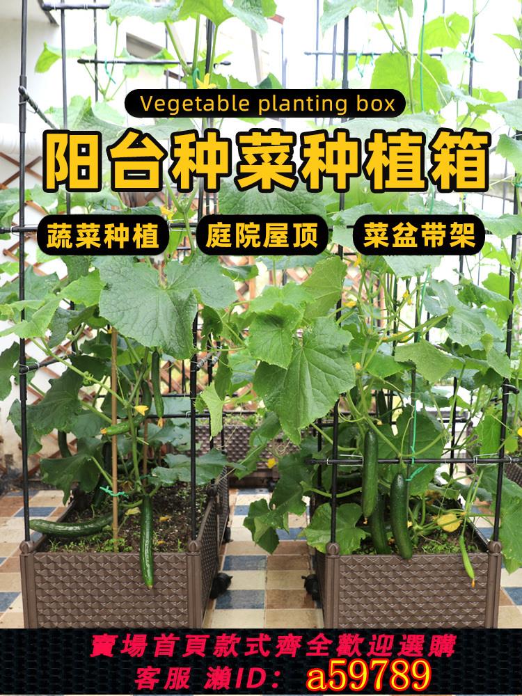 【臺灣公司 可打統編】種植箱大號塑膠花盆植物爬藤架室外庭院花槽陽臺花箱菜盆爬藤架