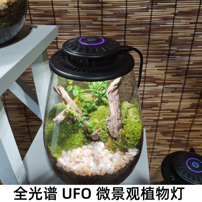 免運 可開票 生長燈 植物生長燈 補光燈 燈管 UFO仿太陽光微景觀補光燈苔蘚燈生態瓶燈led植物生長燈氛圍景觀燈