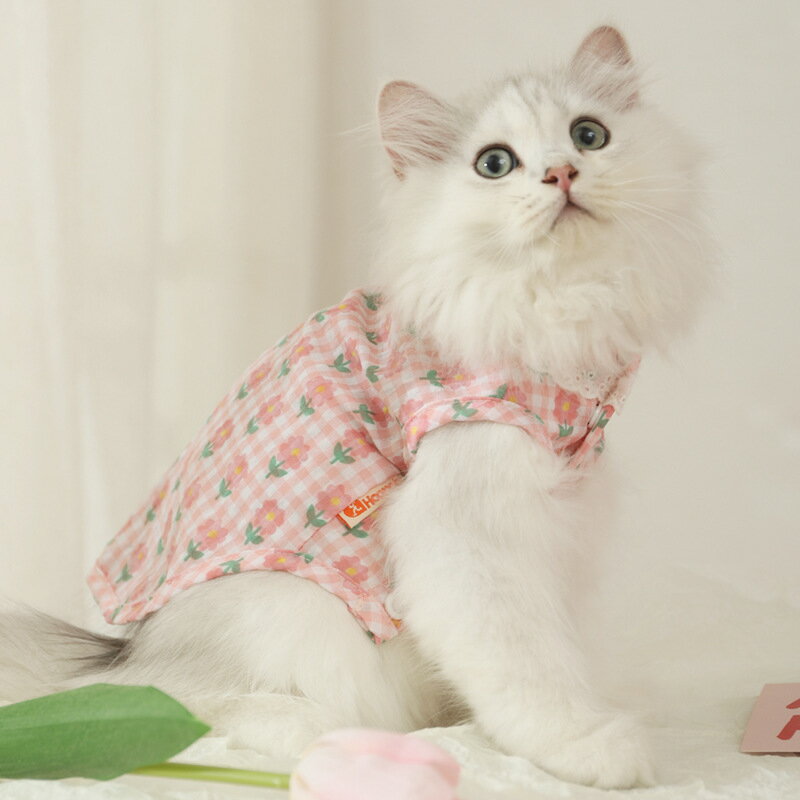 【優選百貨】防掉毛小貓藍貓寵物貓貓可愛幼貓的背心貓咪衣服