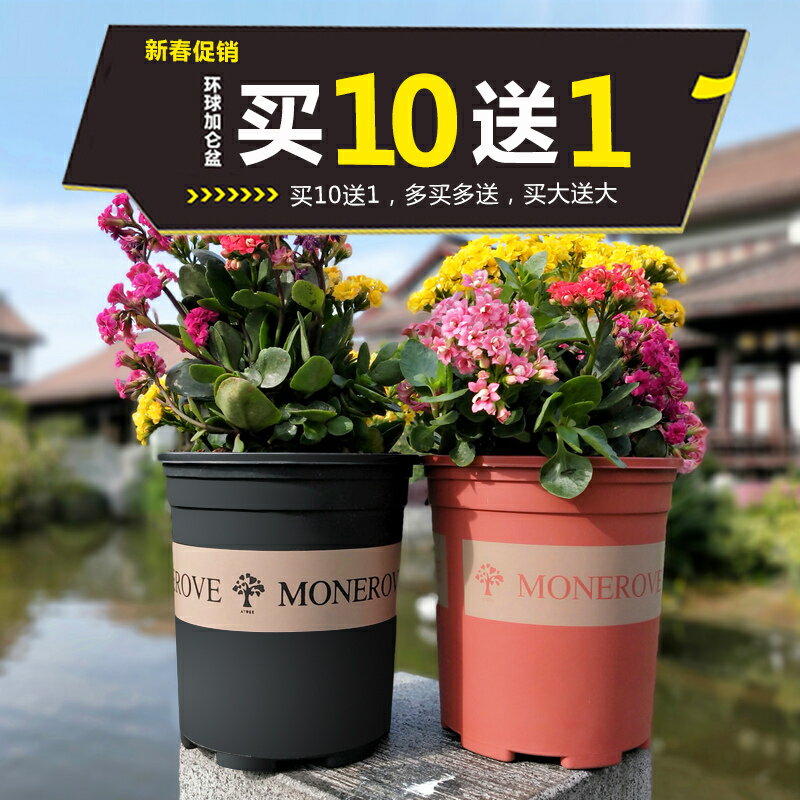 塑膠簡約通用型圓形加侖盆帶託盤家用加侖花盆 綠植多肉綠蘿花盆