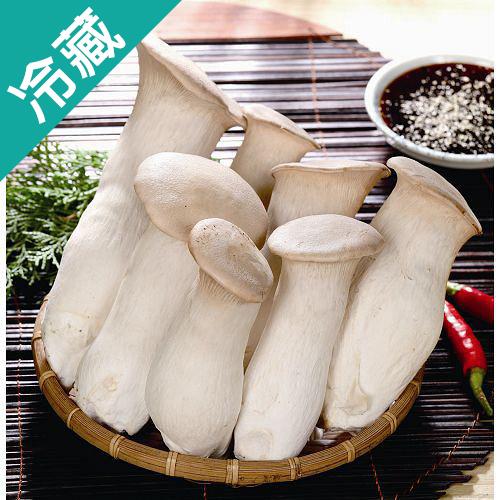 台灣新社杏鮑菇