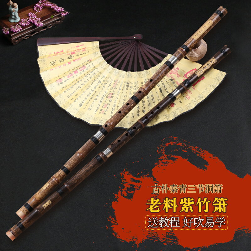 蕭樂器初學入門成人零基礎玉蕭古蕭長蕭紫竹簫古風洞簫6孔八孔g調