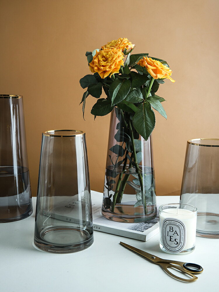 花瓶玻璃透明擺件客廳 插花水養輕奢高級感網紅小鮮花瓶ins風