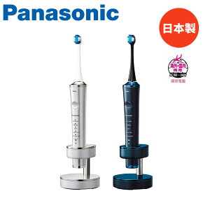 Panasonic國際牌 日本製 W音波電動牙刷 EW-DP54-S 贈一年份刷頭(2組4入)(WEW0800-W)