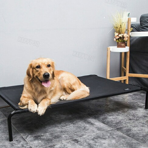 寵物床四季通用大型犬小型犬架空透氣網布狗床貓床可拆洗耐抓咬 S Xl a3959 Happy Happy直營店 樂天市場rakuten 寵物床四季通用大型犬小型犬架空透氣網布狗床貓床可拆洗耐抓咬 S Xl a3959 Happy Happy直營店 樂天市場rakuten