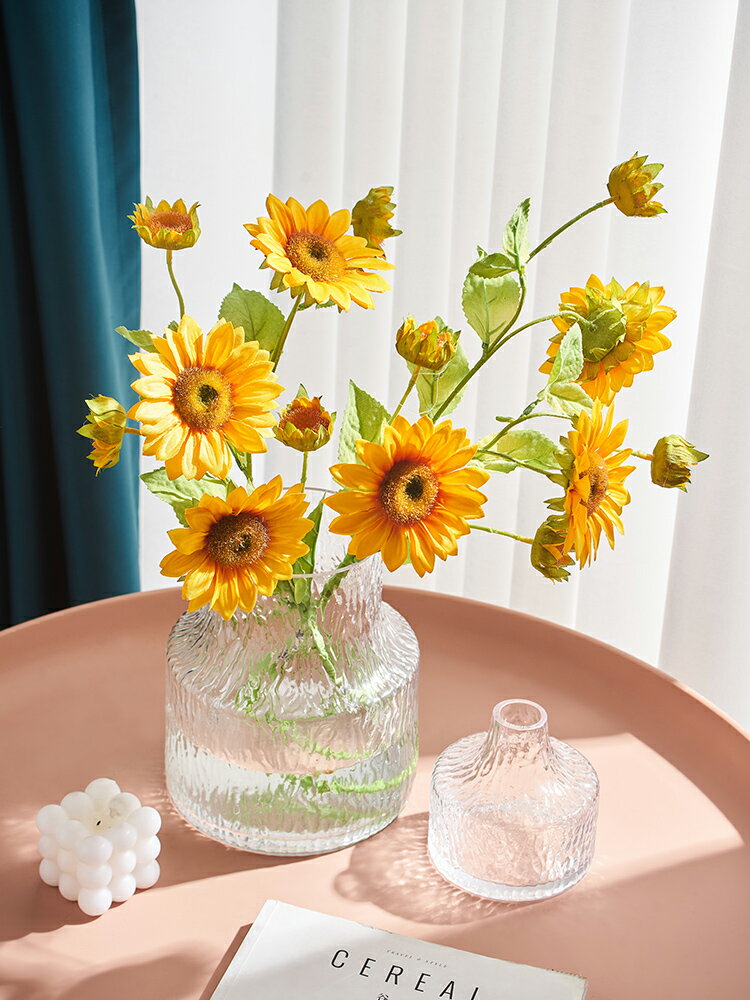 現代簡約透明玻璃花瓶擺件家用客廳插花花器餐桌電視柜裝飾品