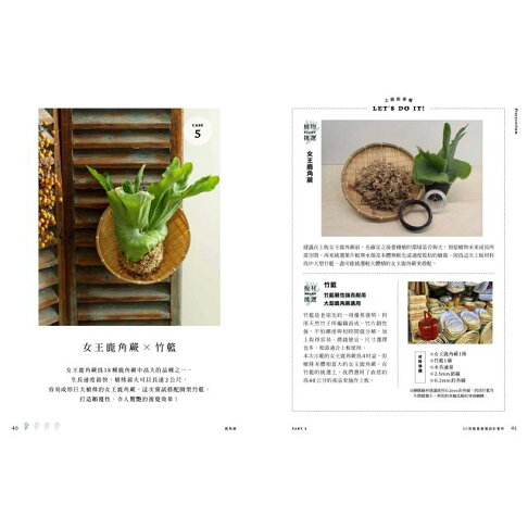 風格上板 牆上的綠色植栽 鹿角蕨 石松 空氣鳳梨 蘭花 觀葉植物 樂天書城直營店 樂天市場rakuten 風格上板 牆上的綠色植栽 鹿角蕨 石松 空氣鳳梨 蘭花 觀葉植物 樂天書城直營店 樂天市場rakuten