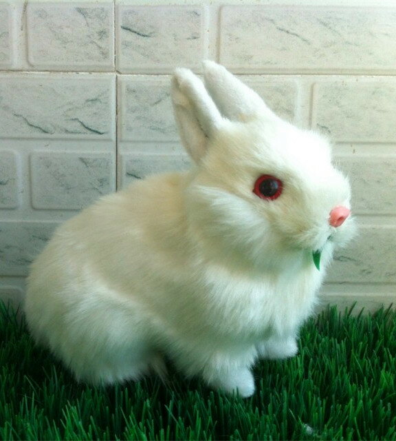 定做仿真動物 仿真小白兔中臥兔 寵物玩具 攝影道具 教學模型包郵