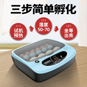 孵化器小型家用迷你蘆丁雞孵化機全自動智能鸚鵡鵪鶉小鳥蛋孵化箱110V
