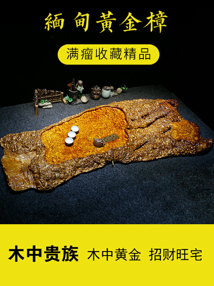 金絲楠木實木茶盤家用樹根茶具黃金樟整塊根雕原木功夫茶海茶臺