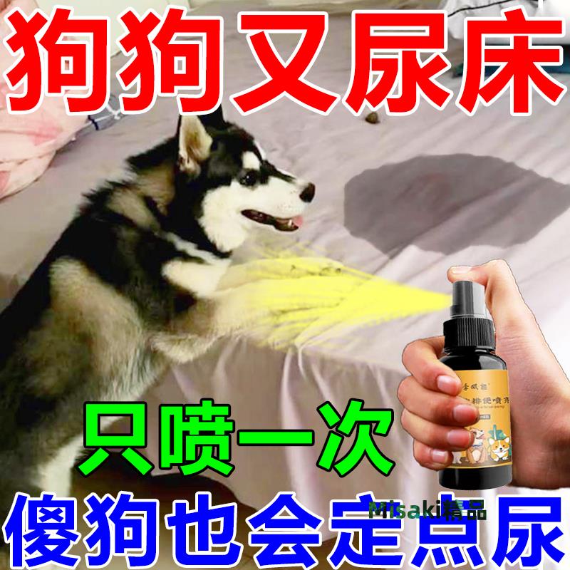 狗狗定點排便神器上廁所大小便通用誘導劑寵物貓咪幼犬訓練防亂尿-Misaki精品