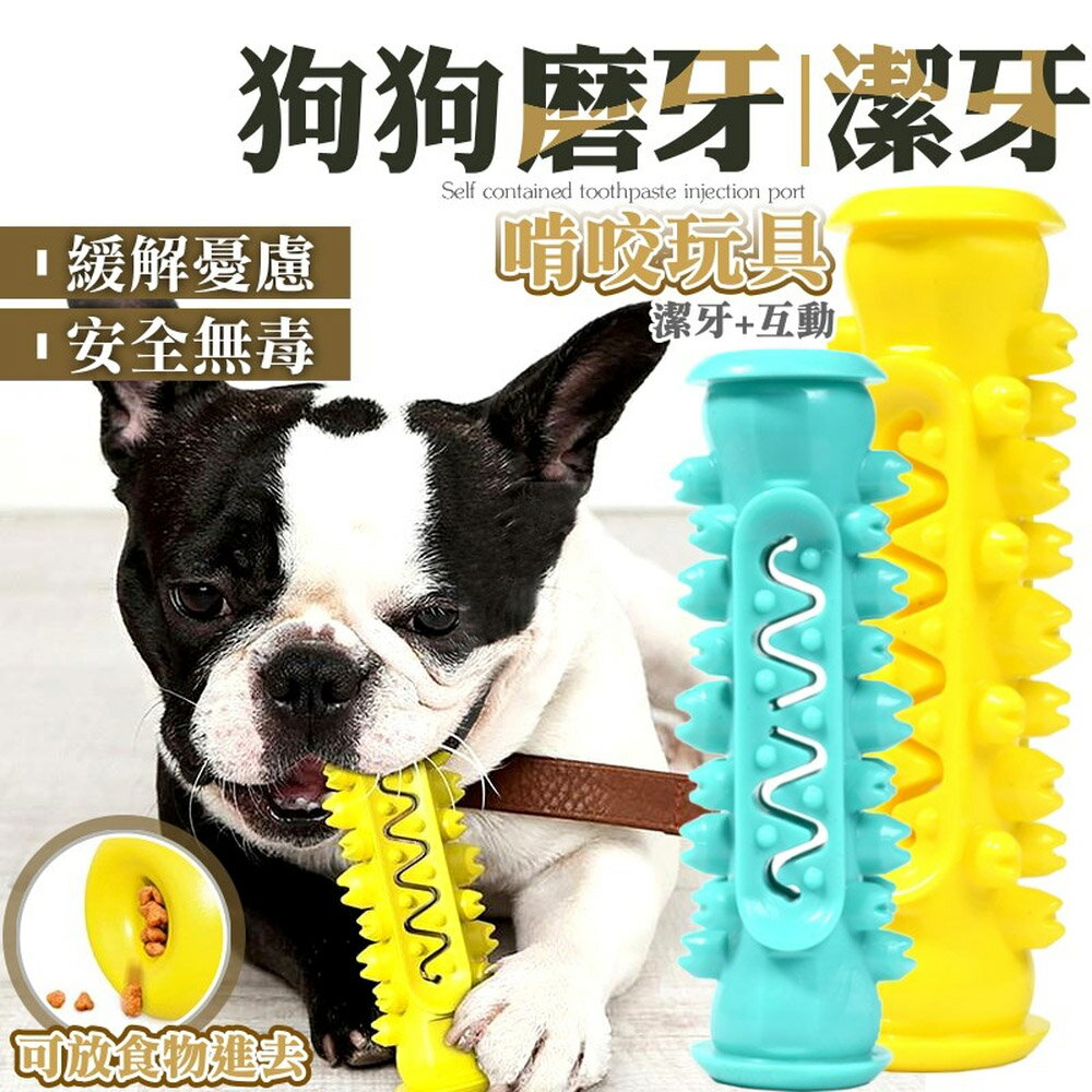 [現貨]狗狗潔牙神器 狗玩具 牙刷玩具 啃咬玩具 狗磨牙 狗牙刷 寵物玩具 寵物牙刷 狗狗磨牙潔牙啃咬玩具