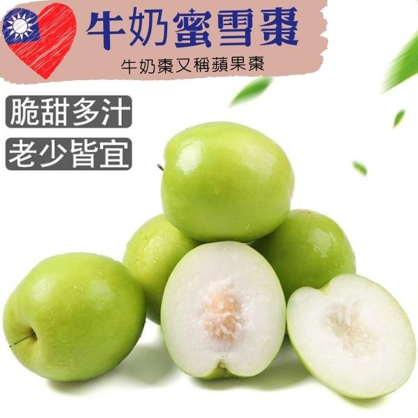 【緁迪水果JDFruit】春節水果禮盒推薦-高雄阿蓮-牛奶蜜雪棗(蘋果雪棗)(5斤&10斤)｜小農直送★春節水果禮盒-送禮推薦