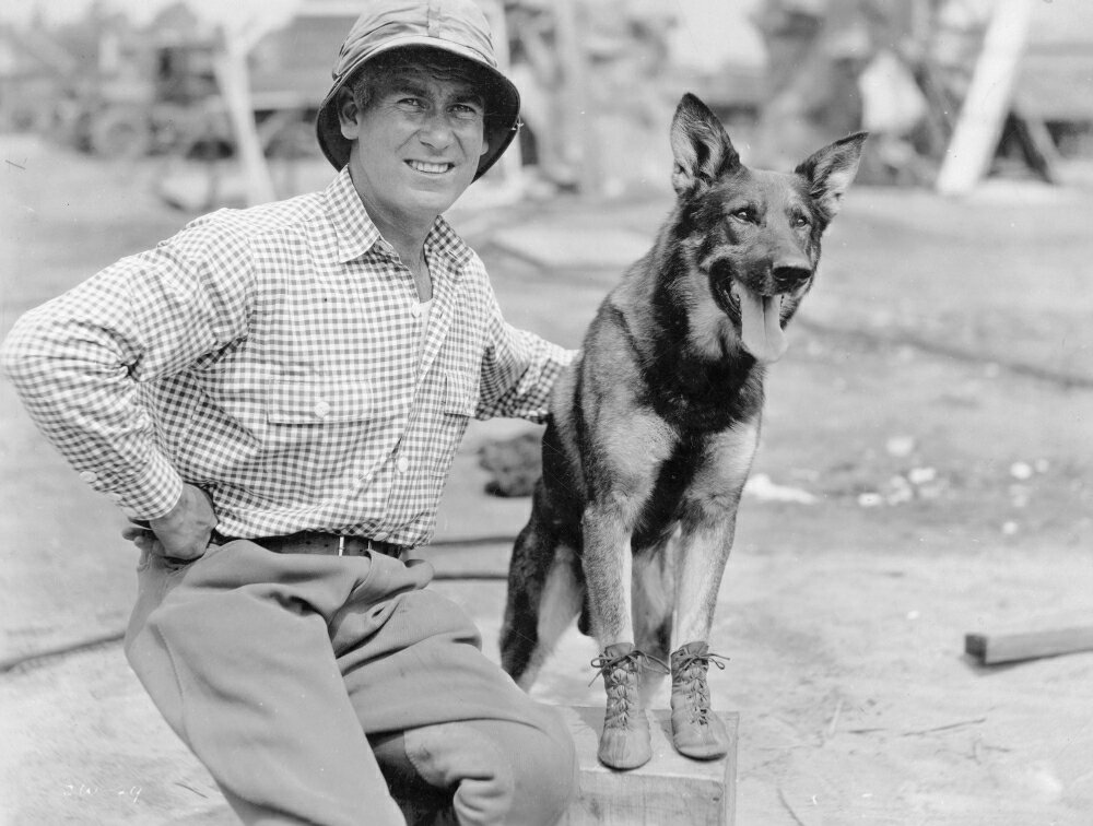 Posterazzi: Rin-Tin-Tin (1916-1932) Namerican Canine Actor With His ...