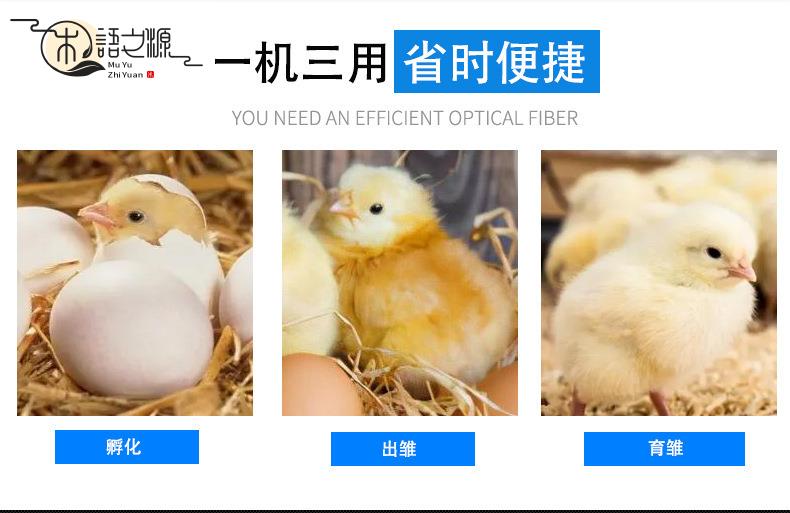 免運/熱銷 小型孵化器 家用全自動智慧雙電源小雞孵蛋器