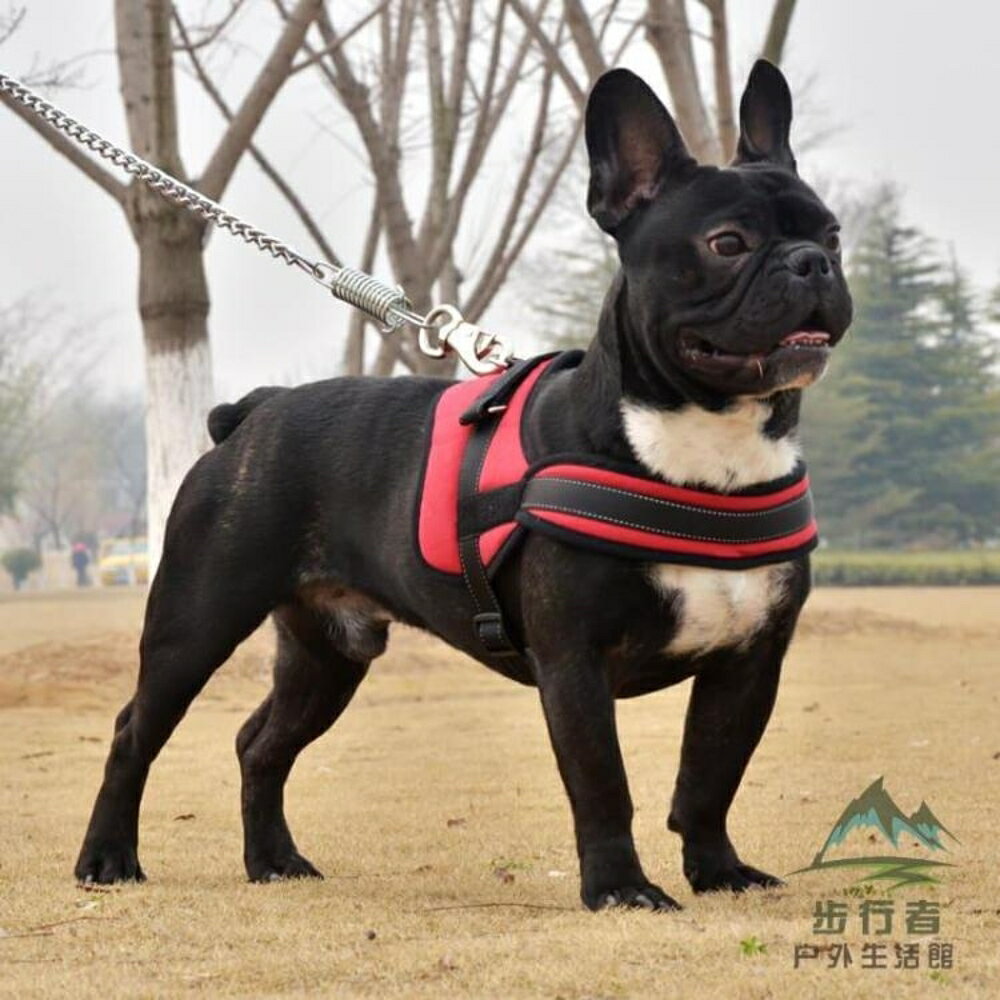 狗狗牽引繩胸背帶中型犬狗鏈子大型犬狗繩寵物用品