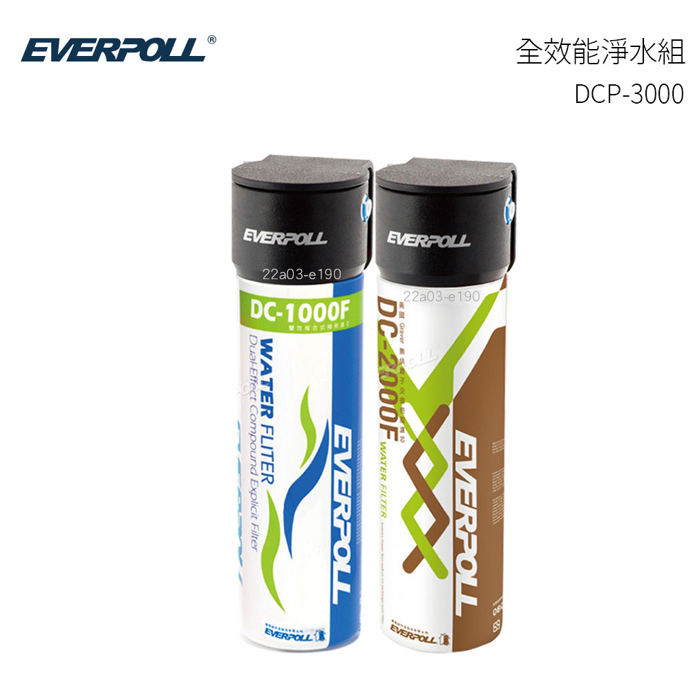 【含基本安裝】 EVERPOLL愛科濾淨 全效能淨水組 DCP-3000