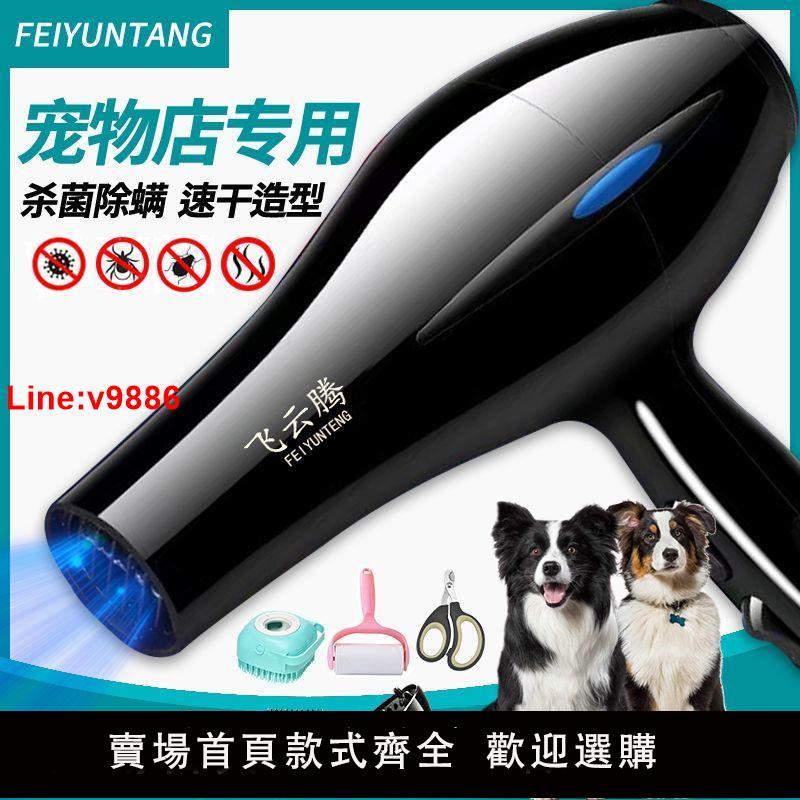 【臺灣公司 超低價】寵物吹風機大風力功率狗狗大中小型犬貓咪洗澡吹乾吹毛神器吹水機