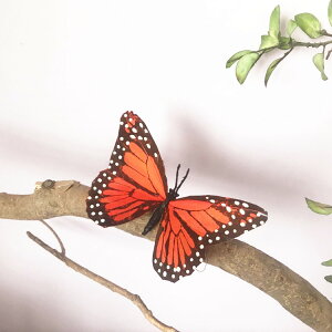 動物模型昆蟲 仿真蝴蝶 彩色羽毛蝴蝶 教科認知 攝影道具展覽布置