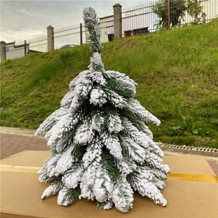 買一送一 聖誕樹 60cm迷你小型仿真雪花聖誕樹加密白色裸樹植絨小雪松45cm家用擺件 DF 交換禮物