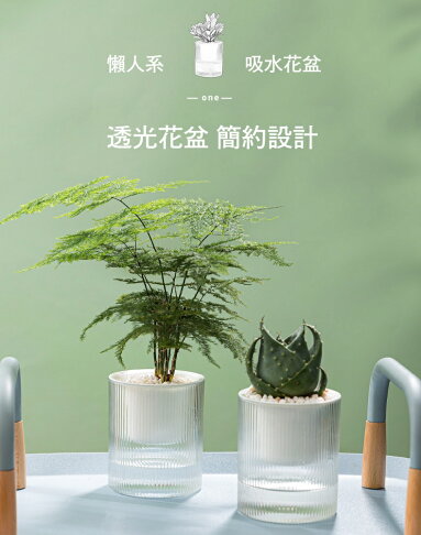 透明花盆自動吸水花盆綠蘿自動吸水可儲水小花盆透明水培雙層花盆塑膠 巨路生活館 樂天市場rakuten 透明花盆自動吸水花盆綠蘿自動吸水可儲水小花盆透明水培雙層花盆塑膠 巨路生活館 樂天市場rakuten