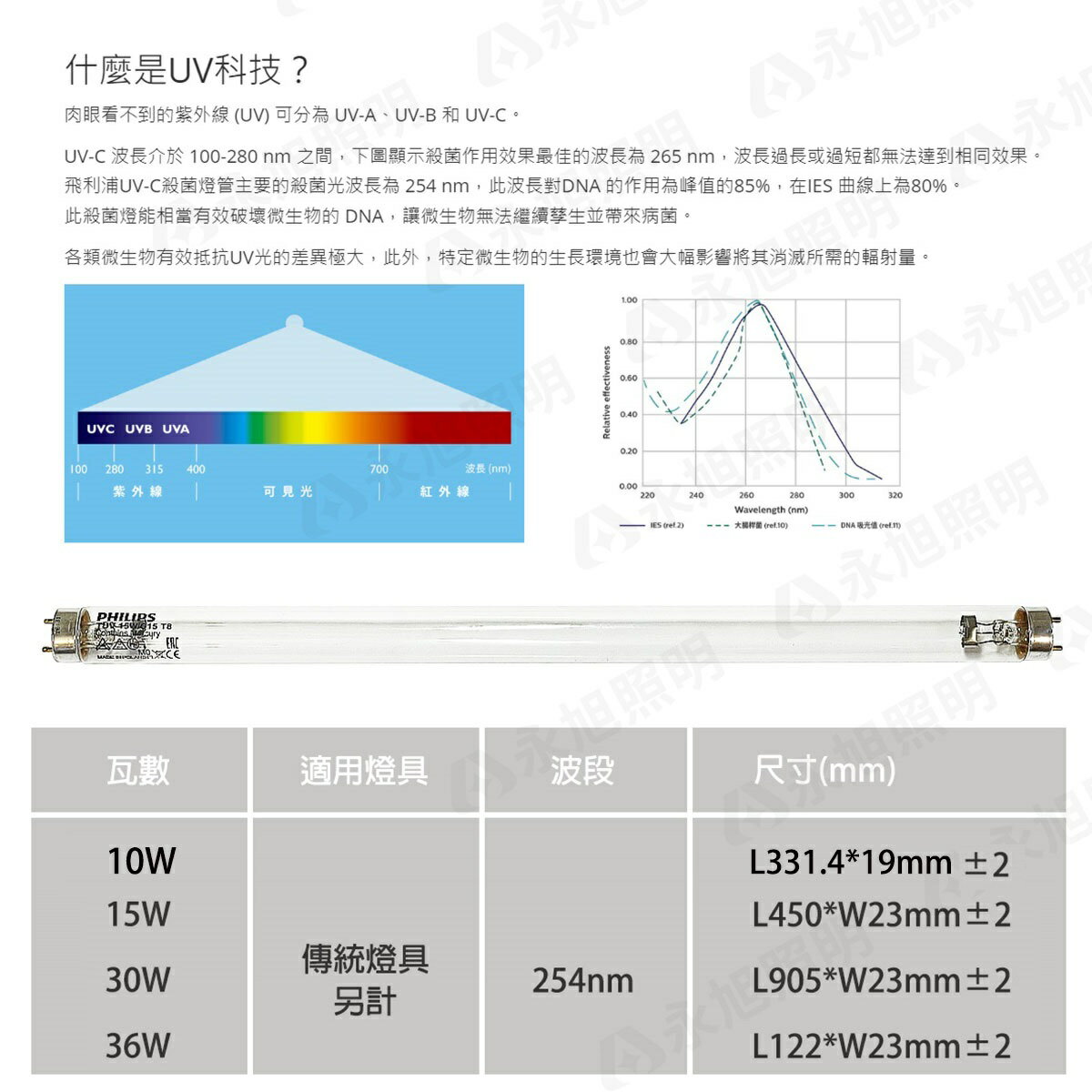 〖飛利浦+中東簡易型燈具〗1尺 1.5尺 2尺 3尺 4尺 TUV 殺菌燈管 紫外線燈管 +燈具 T8 UV-C 〖永光照明〗 1