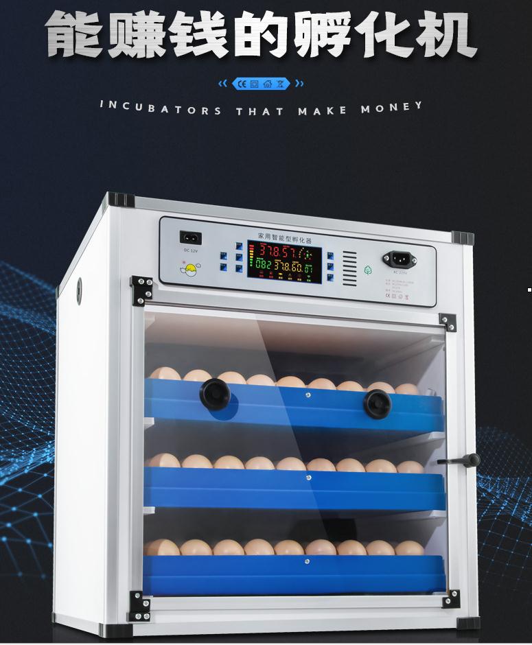 全自動家用智慧小雞孵化器孵化機小型中型蘆丁雞孵蛋器雞蛋孵化箱110V 森馬先生旗艦店