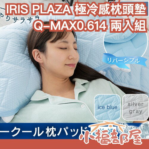 日本 IRIS PLAZA 極強冷感 枕頭墊 Q-MAX0.614 二入組 涼感 可水洗 防臭 雙面 四季可用 寢具 抗暑【小福部屋】-小福部屋-日本商品推薦