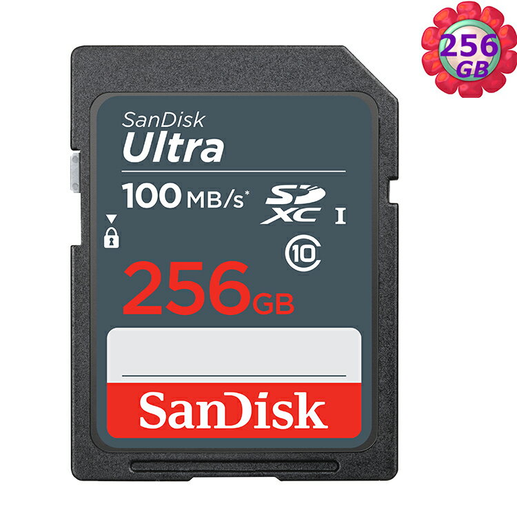 SanDisk 256GB 256G SDXC【100MB/s 灰】Ultra SD UHS-I UHS C10 Class 10 SDSDUNR-256G 相機記憶卡【序號MOM100 現折$100】