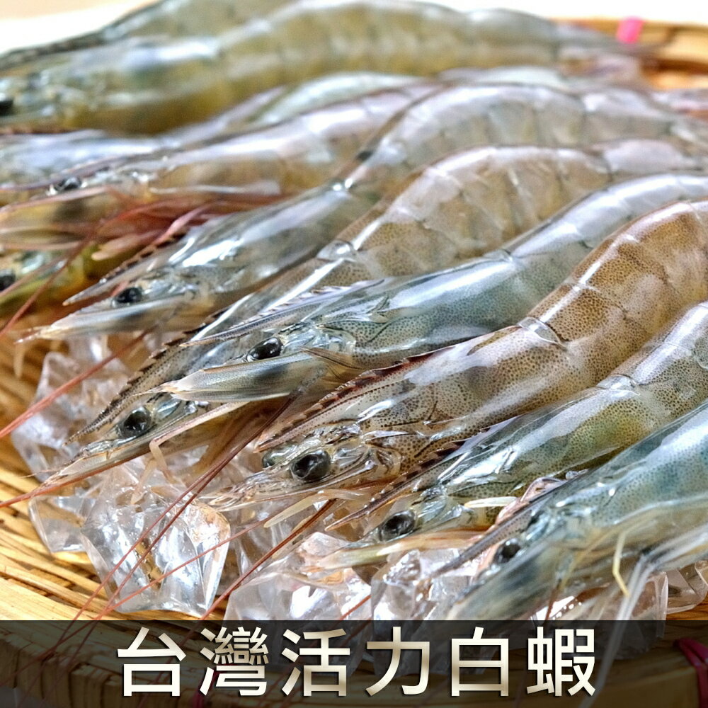 免運 台灣活力白蝦 250g±10%/盒