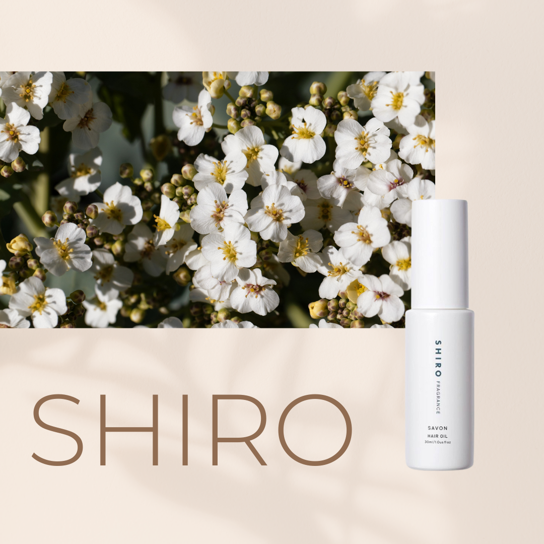 【預購】SHIRO 髮香精油30ml savon 皂香 white lily 白百合 髮油 護髮精油