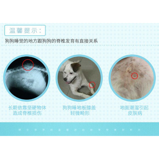 S~3XL號 寵物床 狗窩 寵物墊 狗墊 貓墊 狗床 貓床 睡床 寵物窩 糖果色方型 床墊 睡墊 睡窩 櫻桃嚴選 3