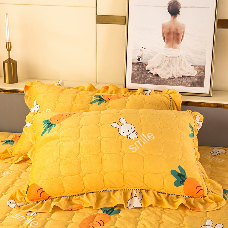 水晶絨枕套枕頭套子一對裝單人用整套珊瑚絨法萊法蘭夾棉加厚冬季