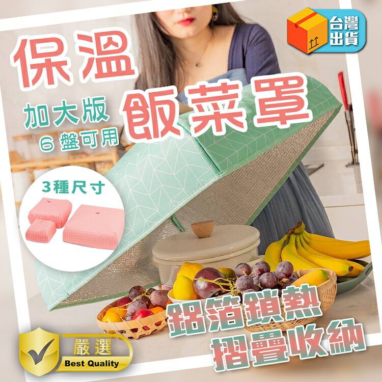 [現貨]菜罩 飯菜罩 保溫菜罩 飯菜保溫 防蟲罩 食物罩 折疊飯菜罩 折疊菜罩 防塵罩 食物保溫可折疊飯菜罩