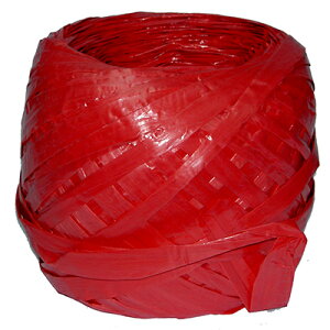【文具通】包裝帶 包裝繩 汽水繩 塑膠繩 包捆用 大綑 紅色 R2010003