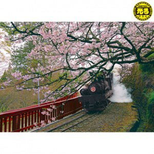 P2 - K25-006 台灣之美 嘉義阿里山蒸汽火車 520片夜光拼圖