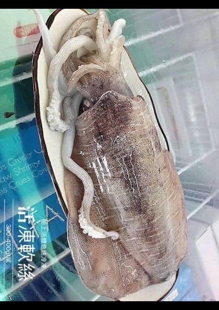 鮮甜活凍軟絲