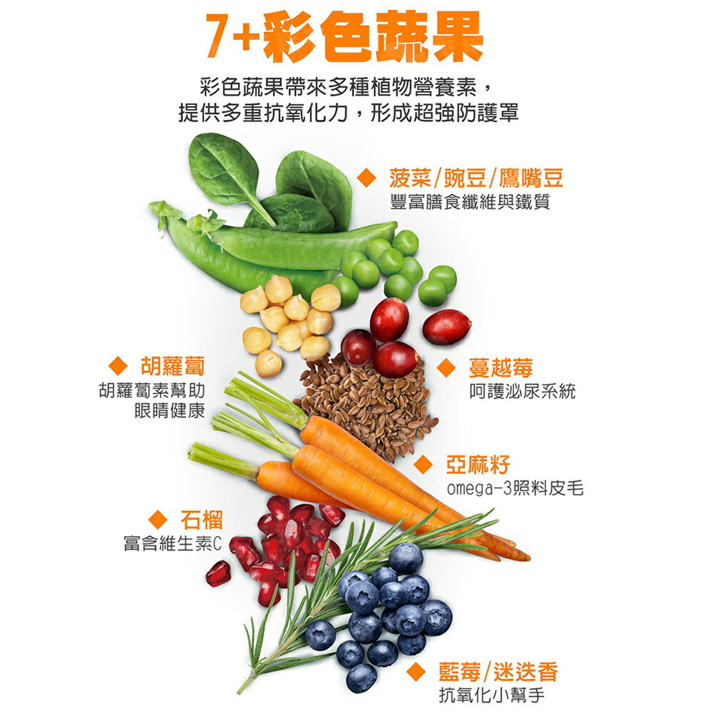 貓糧 貓飼料 貓乾糧 Energy系列貓糧 火雞 成幼 室內貓 熟齡貓低磷 全齡貓 2