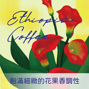 衣索比亞 古吉 罕貝拉 花蝶 G1【 Nikkoffee日光咖啡】
