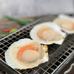 日本半殼大扇貝(10顆入)