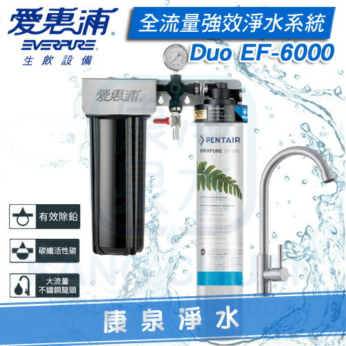 ◤免費安裝◢ EVERPURE 臺灣愛惠浦全流量強效碳纖維系列 整合式雙管淨水系統 PURVIVE-Duo EF-6000