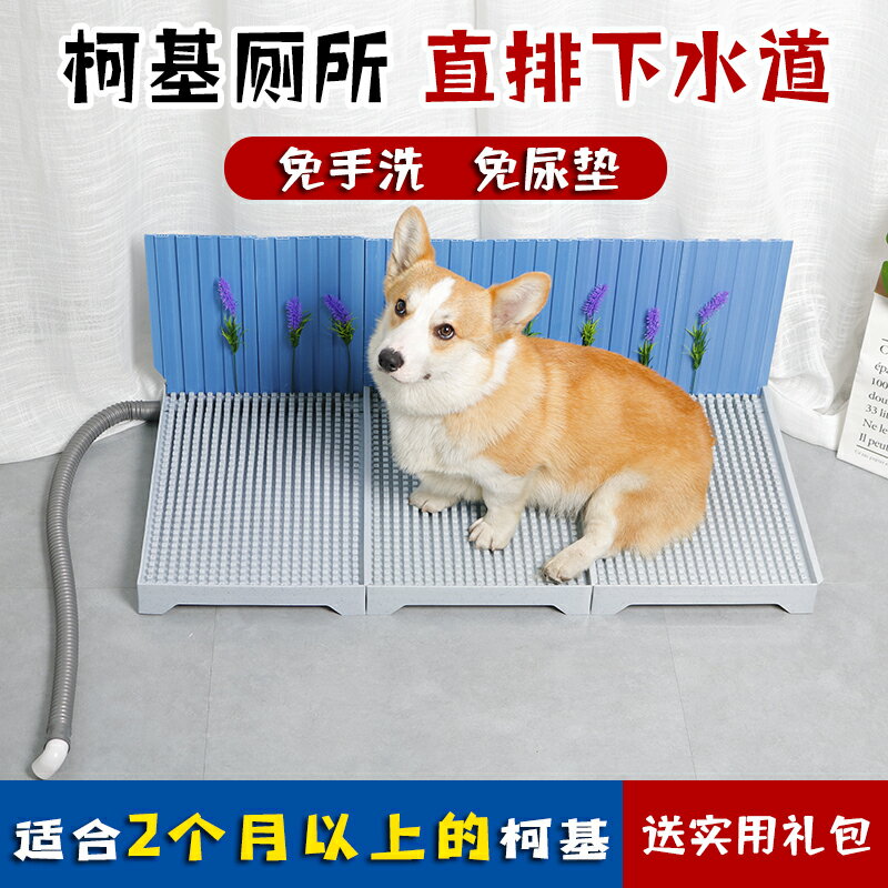狗廁所沖水直排下水道直通小中型犬柯基犬專用尿盆自動便便器神器 全館免運