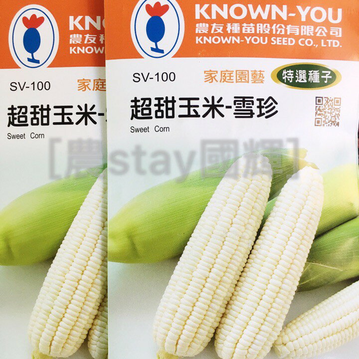 【農stay國輝】超甜水果玉米種子．雪珍特選種子《農友公司玉米種子小包裝50元/包》
