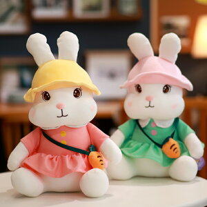 小白兔毛絨玩具可愛兔子公仔少女心女孩子生日禮物陪睡覺安撫玩偶