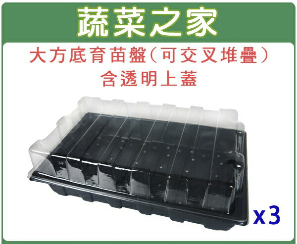 【蔬菜之家005-C76】大方底育苗盤(可交叉堆疊)含透明上蓋3組/件