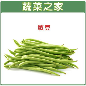 【蔬菜之家】E01.敏豆 (四季豆)種子(共有2種包裝可選)