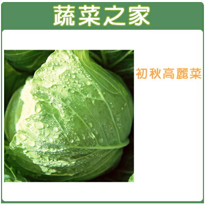 B 結球類及花菜類種子 蔬菜之家 Rakuten樂天市場 B 結球類及花菜類種子 蔬菜之家 Rakuten樂天市場