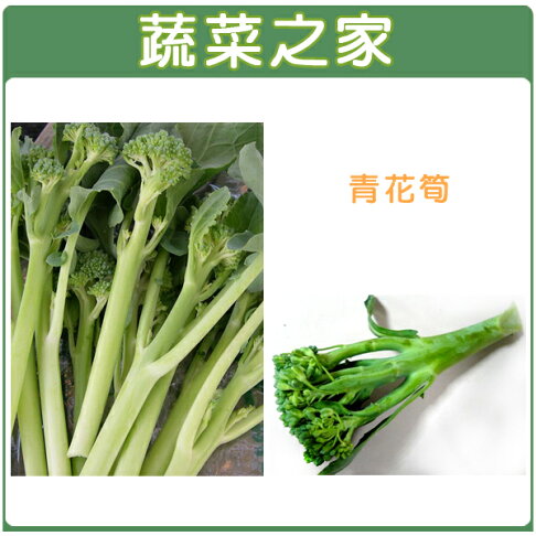 蔬菜之家 B07 青花筍種子 共有2種包裝可選 蔬菜之家直營店 樂天市場rakuten 蔬菜之家 B07 青花筍種子 共有2種包裝可選 蔬菜之家直營店 樂天市場rakuten