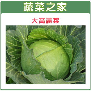 【蔬菜之家】B08.大高麗菜種子(共有2種包裝可選)